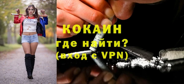 индика Белоозёрский