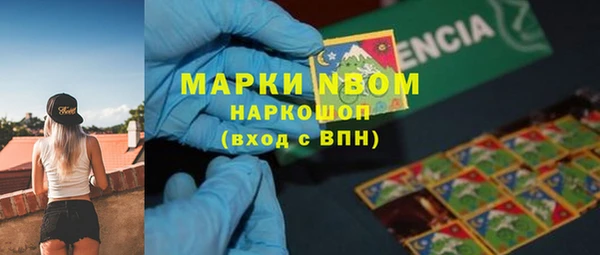 индика Белоозёрский