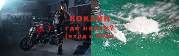 индика Белоозёрский