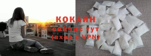 индика Белоозёрский