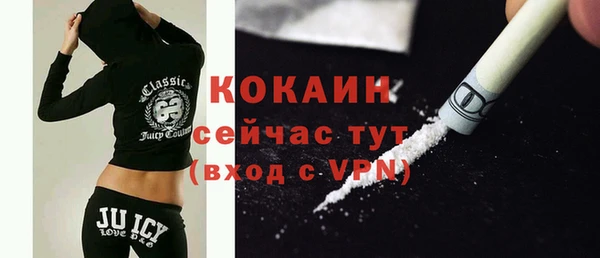индика Белоозёрский