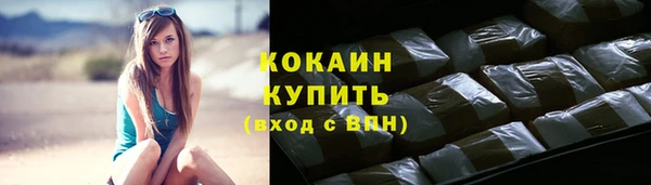 индика Белоозёрский